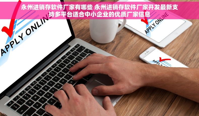 永州进销存软件厂家有哪些 永州进销存软件厂家开发最新支持多平台适合中小企业的优质厂家信息