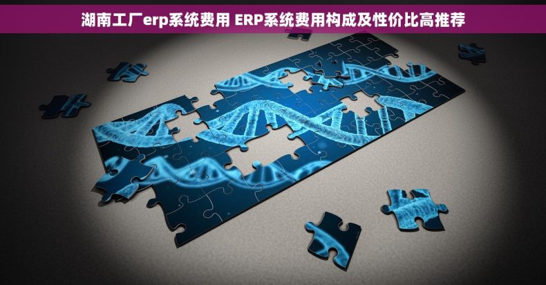 湖南工厂erp系统费用 ERP系统费用构成及性价比高推荐