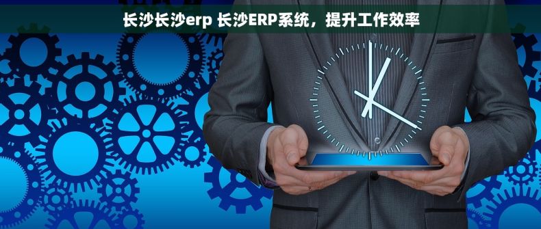 长沙长沙erp 长沙ERP系统，提升工作效率