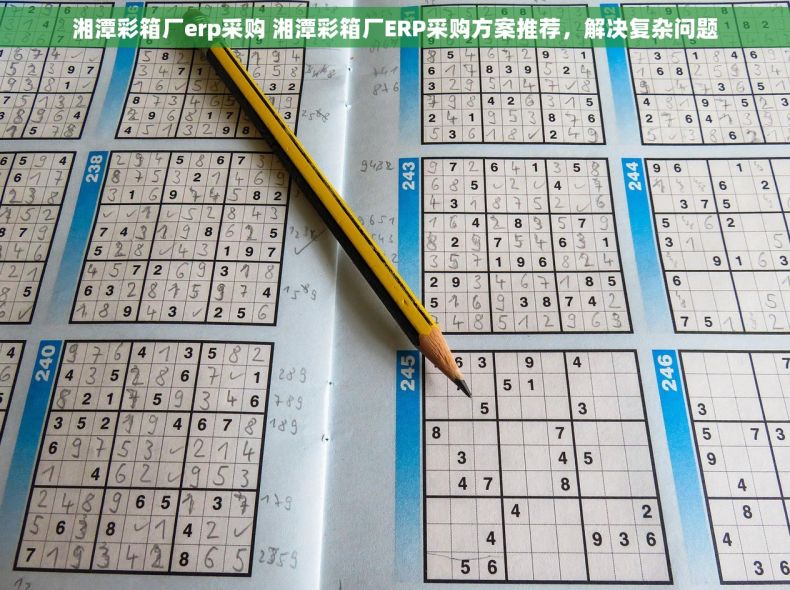 湘潭彩箱厂erp采购 湘潭彩箱厂ERP采购方案推荐，解决复杂问题