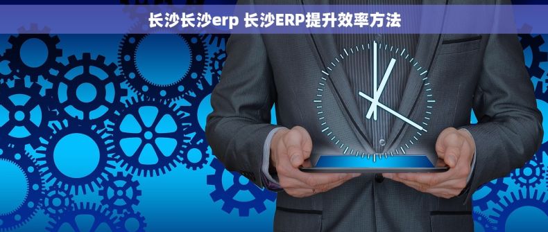 长沙长沙erp 长沙ERP提升效率方法