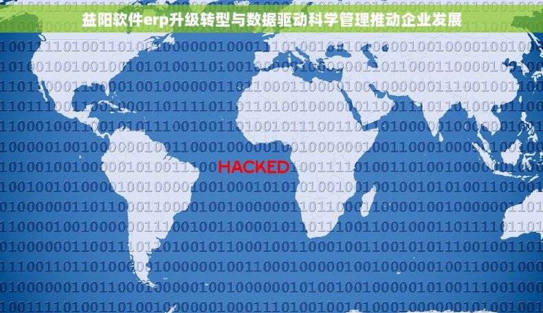 益阳软件erp升级转型与数据驱动科学管理推动企业发展