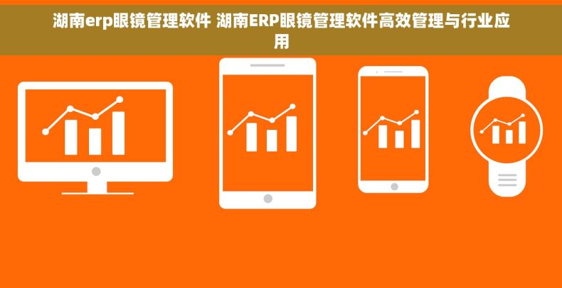 湖南erp眼镜管理软件 湖南ERP眼镜管理软件高效管理与行业应用