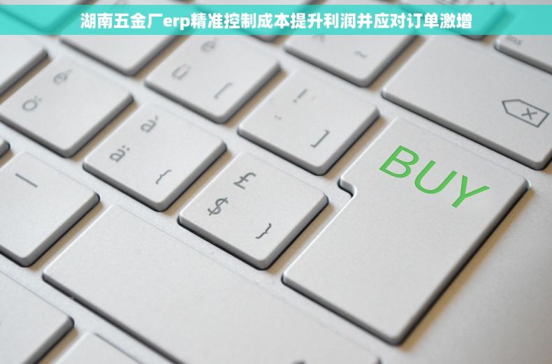 湖南五金厂erp精准控制成本提升利润并应对订单激增