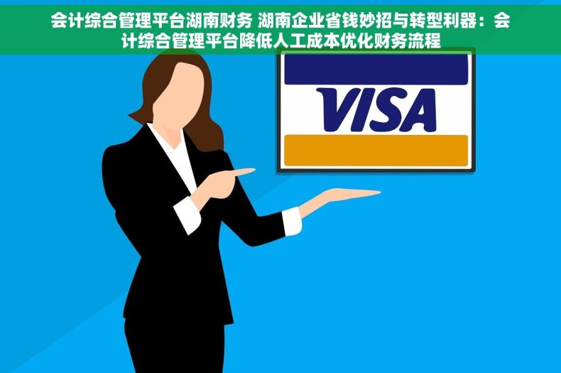 会计综合管理平台湖南财务 湖南企业省钱妙招与转型利器：会计综合管理平台降低人工成本优化财务流程