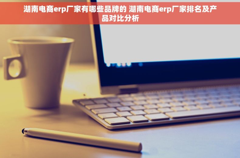 湖南电商erp厂家有哪些品牌的 湖南电商erp厂家排名及产品对比分析
