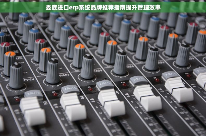 娄底进口erp系统品牌推荐指南提升管理效率