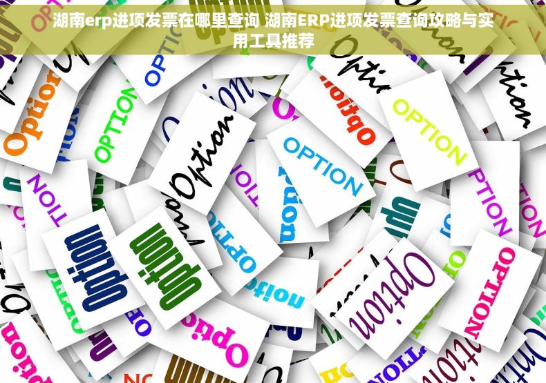 湖南erp进项发票在哪里查询 湖南ERP进项发票查询攻略与实用工具推荐
