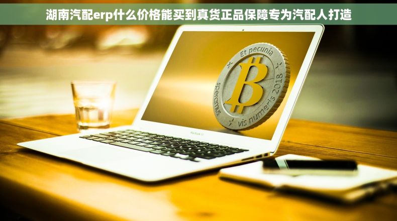 湖南汽配erp什么价格能买到真货正品保障专为汽配人打造
