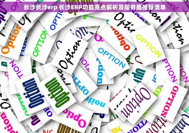 长沙长沙erp 长沙ERP功能亮点解析及服务商推荐清单