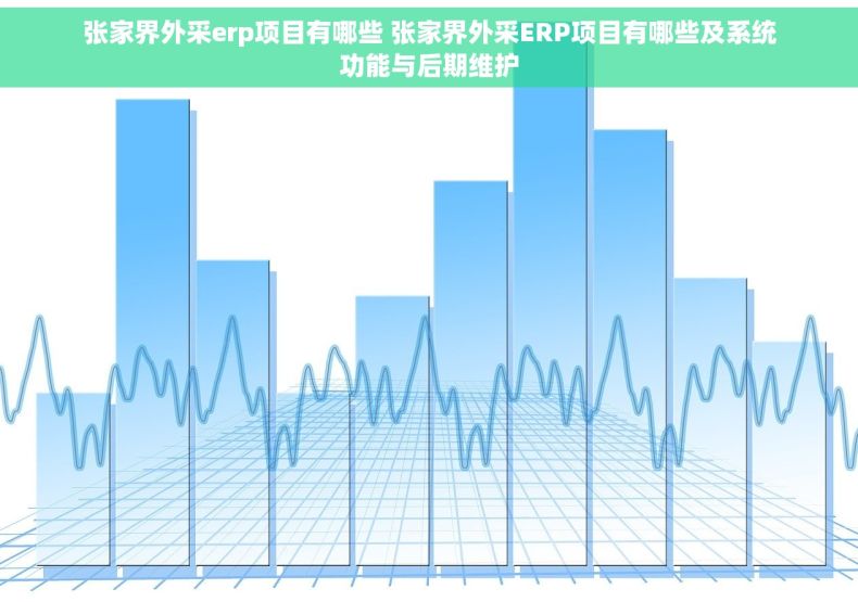 张家界外采erp项目有哪些 张家界外采ERP项目有哪些及系统功能与后期维护