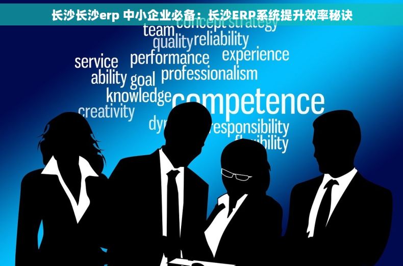 长沙长沙erp 中小企业必备：长沙ERP系统提升效率秘诀