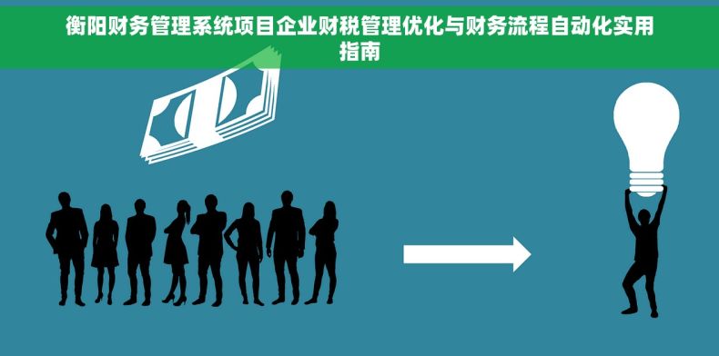 衡阳财务管理系统项目企业财税管理优化与财务流程自动化实用指南