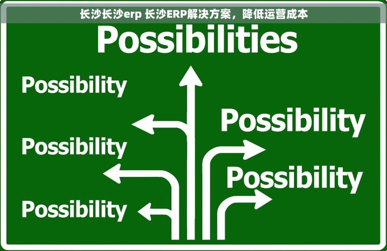 长沙长沙erp 长沙ERP解决方案，降低运营成本