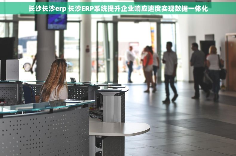 长沙长沙erp 长沙ERP系统提升企业响应速度实现数据一体化