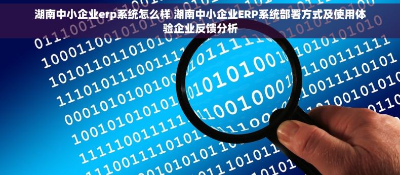 湖南中小企业erp系统怎么样 湖南中小企业ERP系统部署方式及使用体验企业反馈分析