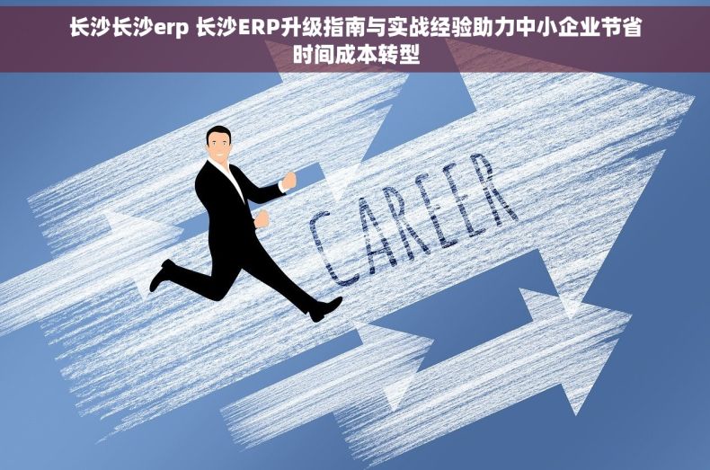 长沙长沙erp 长沙ERP升级指南与实战经验助力中小企业节省时间成本转型