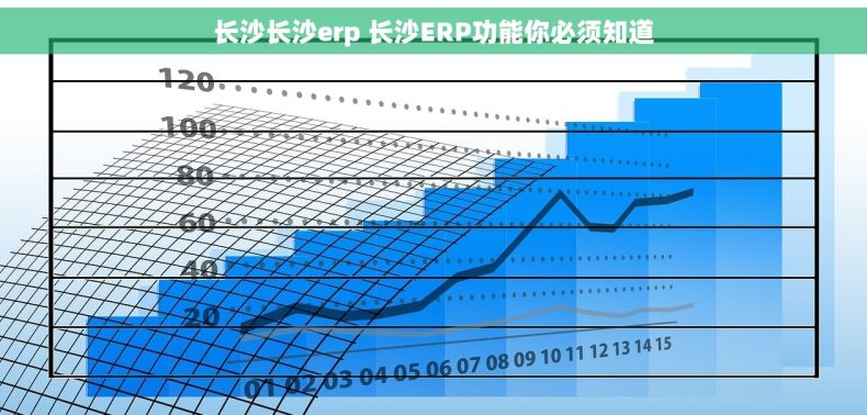 长沙长沙erp 长沙ERP功能你必须知道