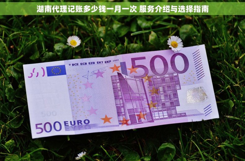 湖南代理记账多少钱一月一次 服务介绍与选择指南