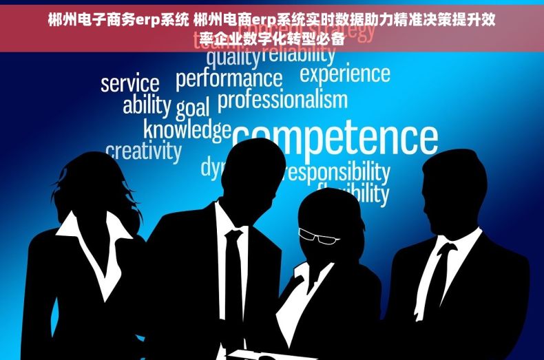 郴州电子商务erp系统 郴州电商erp系统实时数据助力精准决策提升效率企业数字化转型必备