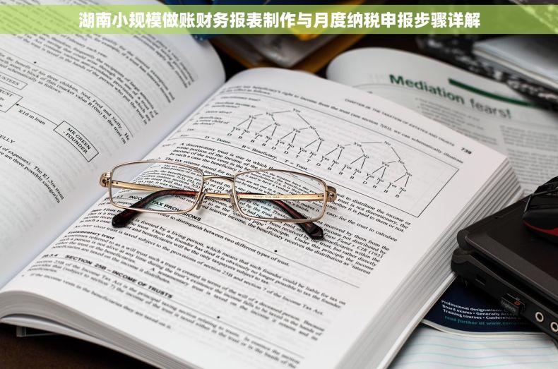 湖南小规模做账财务报表制作与月度纳税申报步骤详解