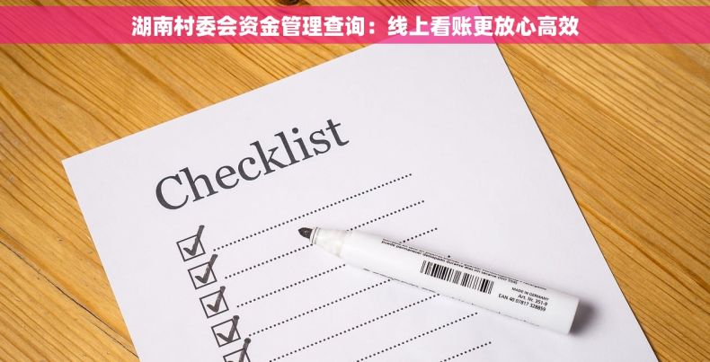 湖南村委会资金管理查询：线上看账更放心高效