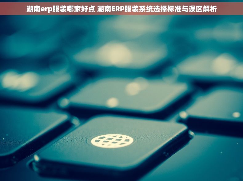 湖南erp服装哪家好点 湖南ERP服装系统选择标准与误区解析