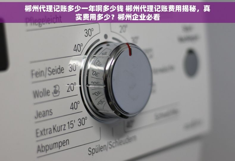 郴州代理记账多少一年啊多少钱 郴州代理记账费用揭秘，真实费用多少？郴州企业必看