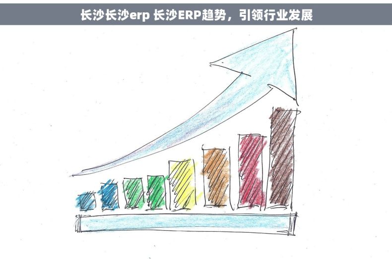 长沙长沙erp 长沙ERP趋势，引领行业发展