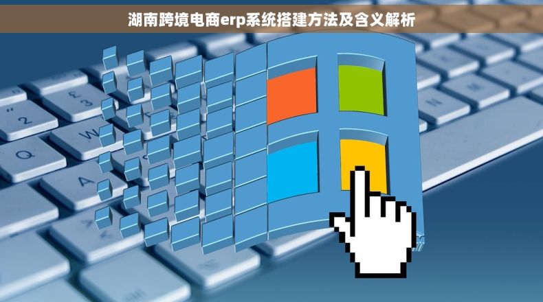 湖南跨境电商erp系统搭建方法及含义解析