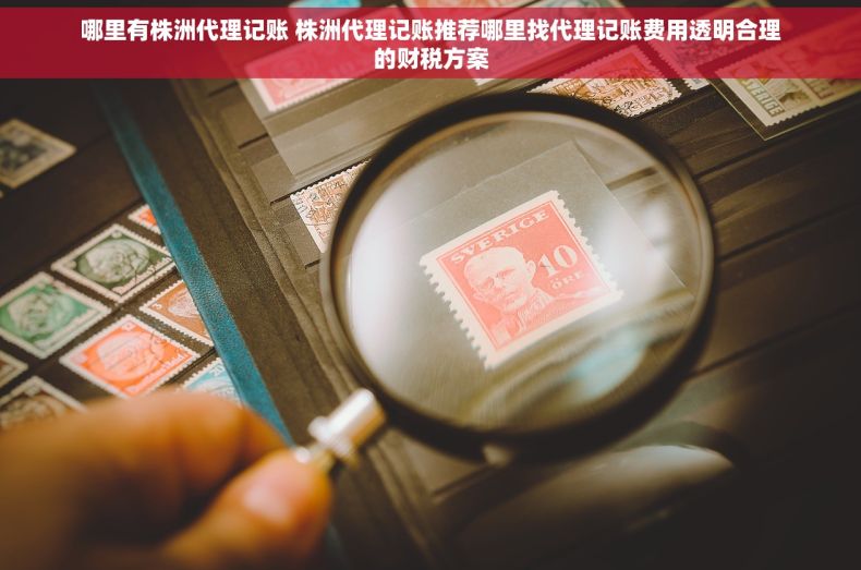 哪里有株洲代理记账 株洲代理记账推荐哪里找代理记账费用透明合理的财税方案