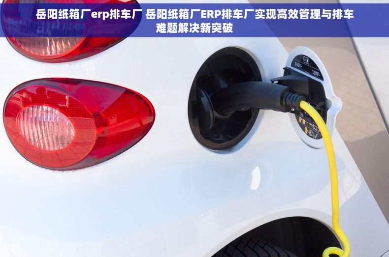 岳阳纸箱厂erp排车厂 岳阳纸箱厂ERP排车厂实现高效管理与排车难题解决新突破