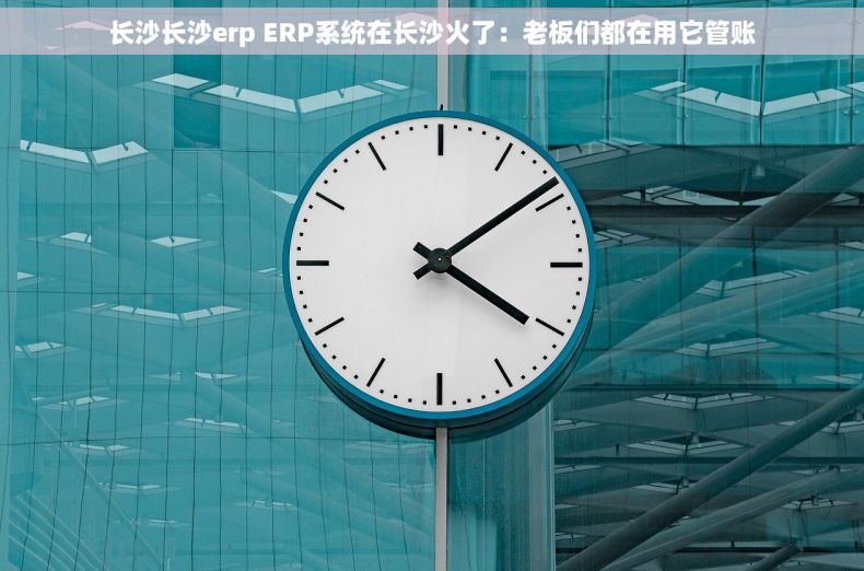 长沙长沙erp ERP系统在长沙火了：老板们都在用它管账
