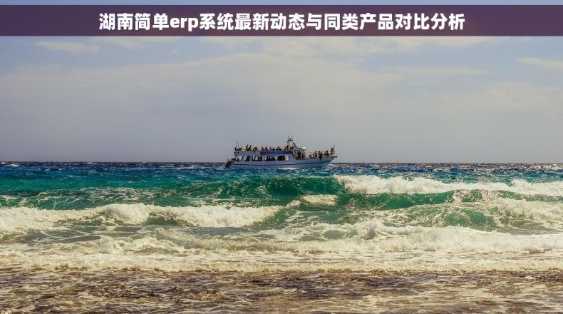 湖南简单erp系统最新动态与同类产品对比分析