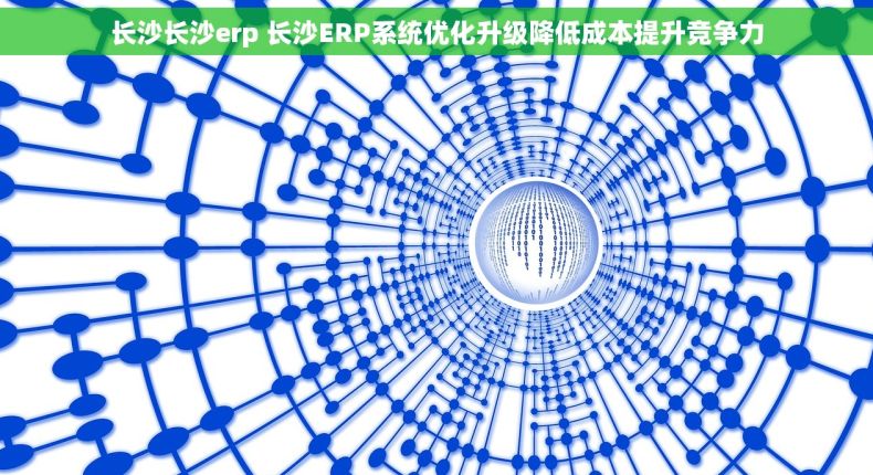 长沙长沙erp 长沙ERP系统优化升级降低成本提升竞争力