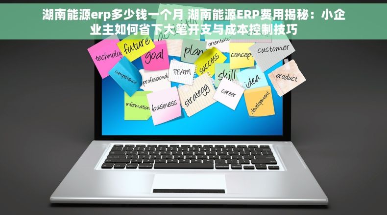 湖南能源erp多少钱一个月 湖南能源ERP费用揭秘：小企业主如何省下大笔开支与成本控制技巧
