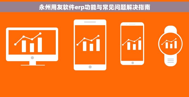 永州用友软件erp功能与常见问题解决指南