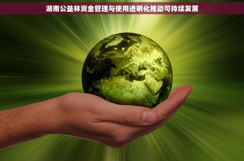 湖南公益林资金管理与使用透明化推动可持续发展
