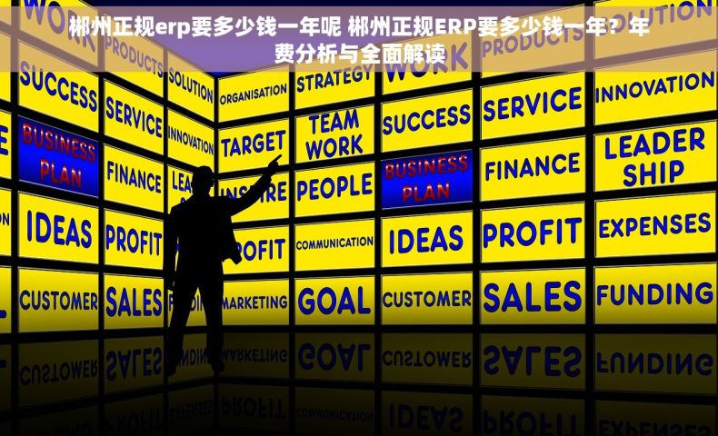 郴州正规erp要多少钱一年呢 郴州正规ERP要多少钱一年？年费分析与全面解读