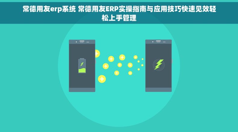 常德用友erp系统 常德用友ERP实操指南与应用技巧快速见效轻松上手管理
