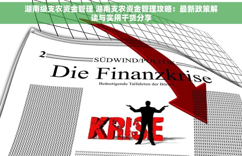 湖南级支农资金管理 湖南支农资金管理攻略：最新政策解读与实用干货分享