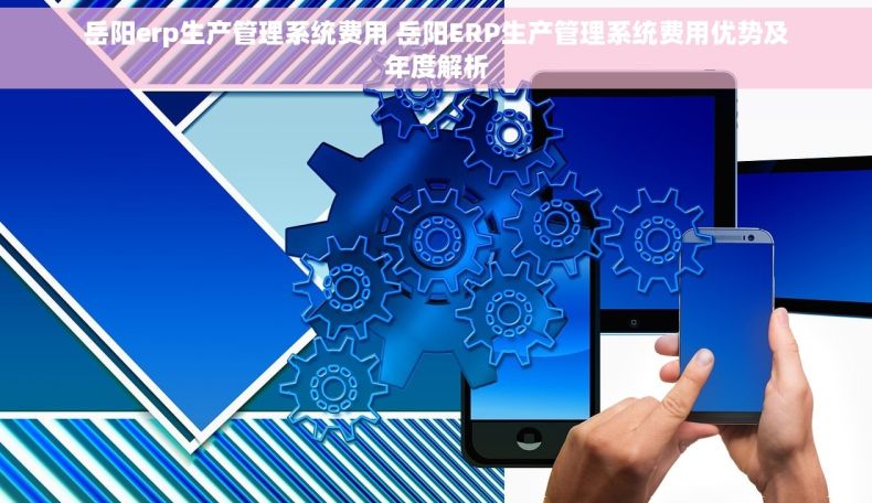 岳阳erp生产管理系统费用 岳阳ERP生产管理系统费用优势及年度解析