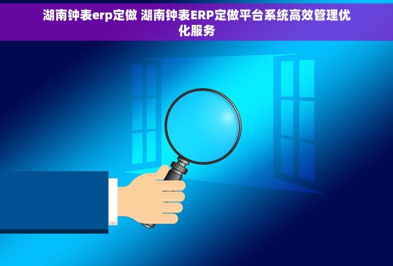 湖南钟表erp定做 湖南钟表ERP定做平台系统高效管理优化服务