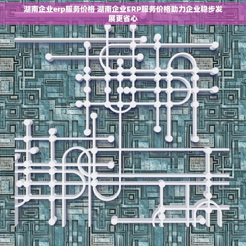 湖南企业erp服务价格 湖南企业ERP服务价格助力企业稳步发展更省心