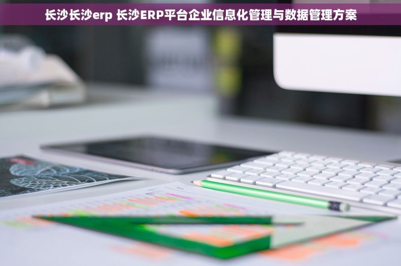 长沙长沙erp 长沙ERP平台企业信息化管理与数据管理方案