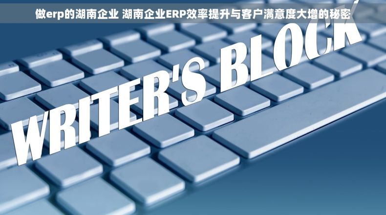 做erp的湖南企业 湖南企业ERP效率提升与客户满意度大增的秘密