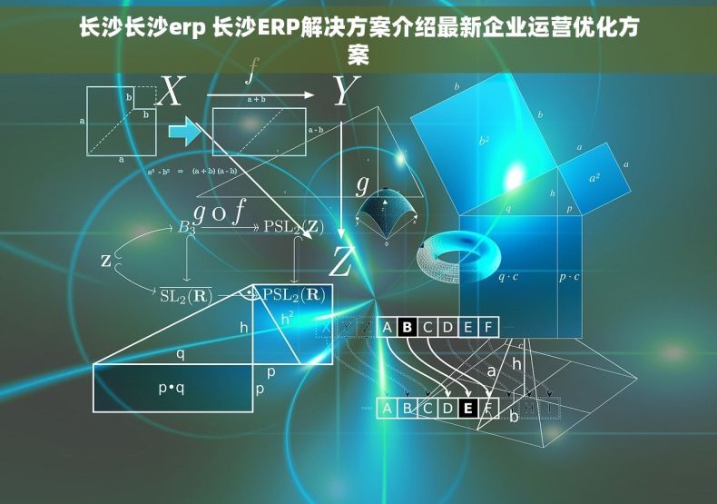 长沙长沙erp 长沙ERP解决方案介绍最新企业运营优化方案