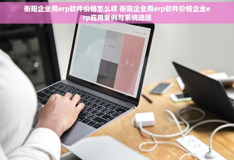 衡阳企业用erp软件价格怎么样 衡阳企业用erp软件价格企业erp应用案例与系统选择