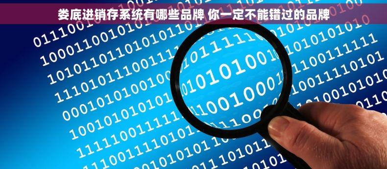 娄底进销存系统有哪些品牌 你一定不能错过的品牌