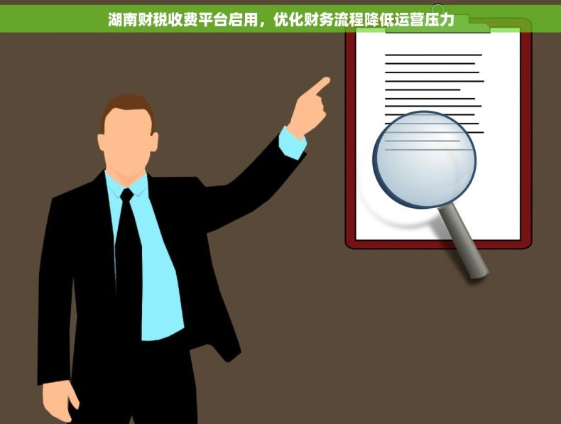 湖南财税收费平台启用，优化财务流程降低运营压力